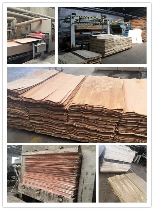 18mm Plywood Paper Faced Plywood Phenolic Board Laminated Board Good Price